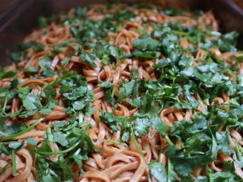 img 98960 49539644738 o