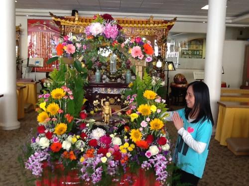 photo-11 14162405844 o