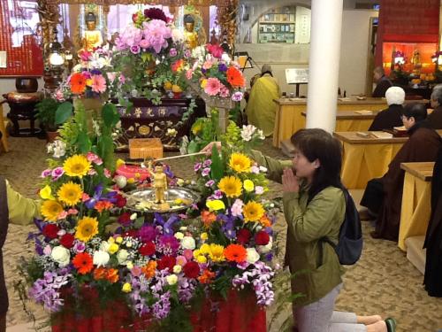 photo-12 13975659077 o