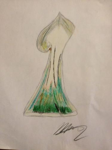 photo-1 13595765695 o