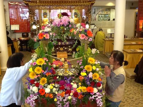 photo-31 14139140016 o