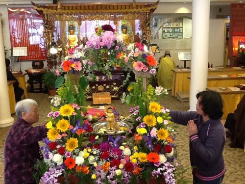 photo-41 14159530692 o