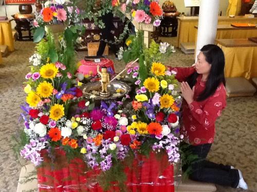 photo-42 14162399724 o