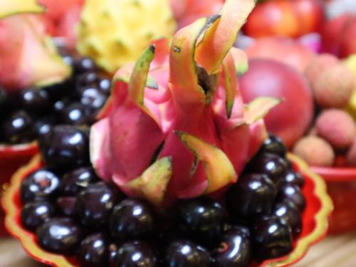 tmid8295 48075115292 o