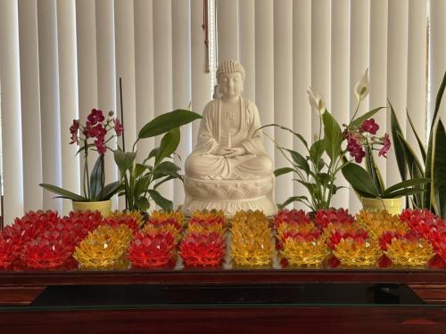 wechat-image 20210207152547 50920514006 o