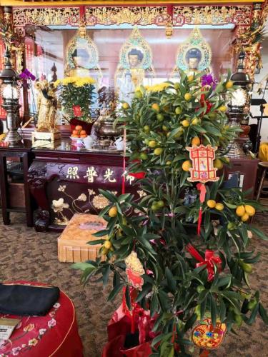 wechat-image 20210210194828 50934114573 o