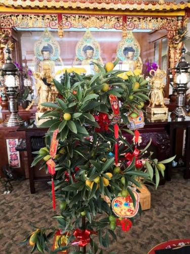 wechat-image 20210210194835 50934922052 o