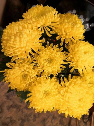 wechat-image 20210211215707 50934958652 o