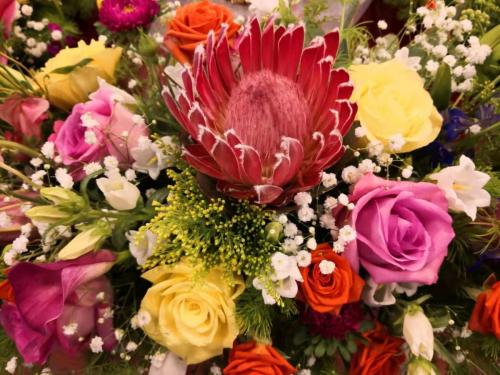 wechat-image 20210516082854 51185265620 o