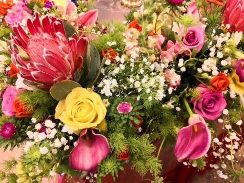 wechat-image 202105160830213 51185255555 o