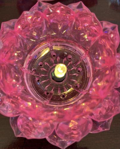 wechat-image 202201291354149 51857561013 o