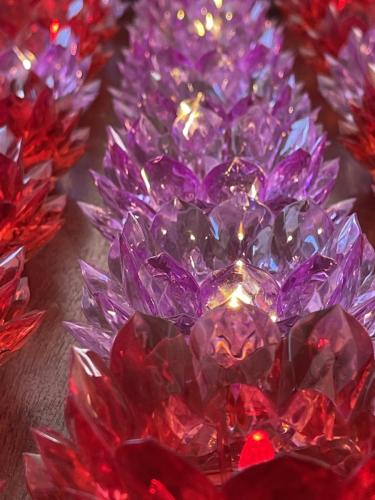 wechat-image 20220129135857 51857807854 o