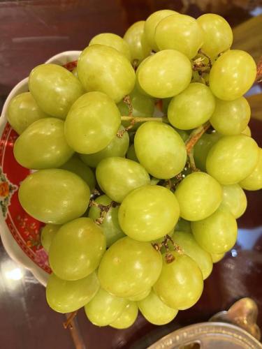 wechat-image 202202132118586 51880815063 o