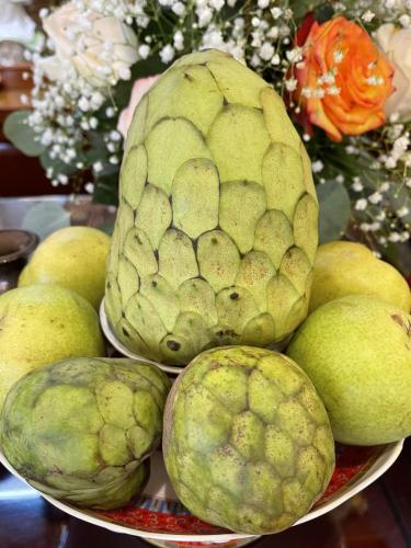 wechat-image 20220508150825 52060038211 o