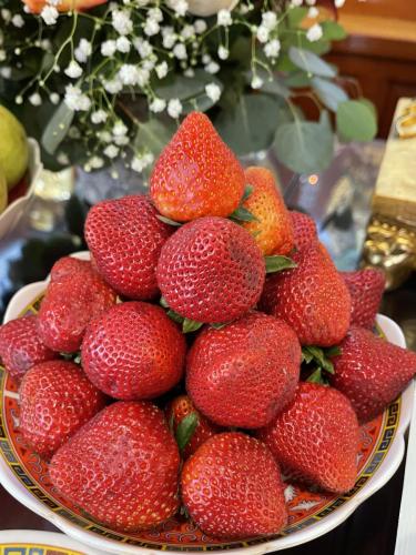 wechat-image 20220508150915 52060269964 o