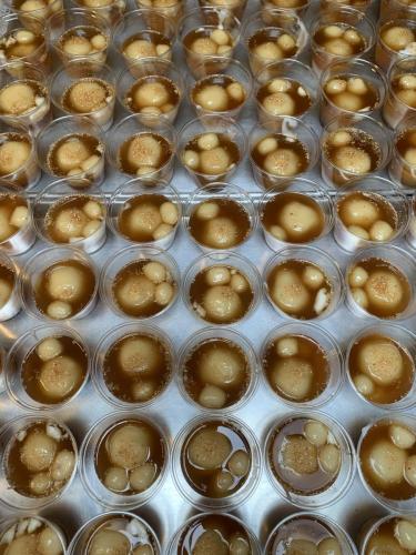 zimg 1737 49149045782 o